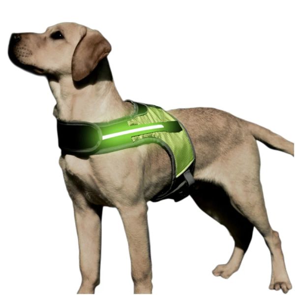 Imbracature Luci a LED Cinghie pettorali per cani, Imbracatura per camminata notturna, Gilet riflettente per cani di taglia media e grande Forniture per animali da pastore Husky Labrador