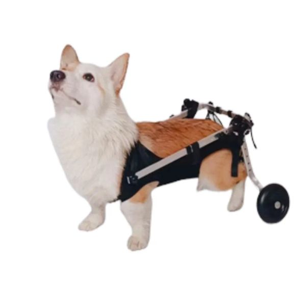 Ausrüstung Hund Rollstuhl Auto Lähmung der Hinterbeine Haustierhilfe Behinderung Wirbelsäule Hinterbeine Katzenwanderer Kraftloses älteres Kaninchen Phalangen