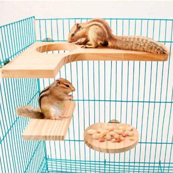 Spielzeug 4 Stück Naturholz Hamsterständer Plattform Ratte Aktivität Spielplatz Chinchilla Käfigzubehör mit Unterlegscheiben für Vögel