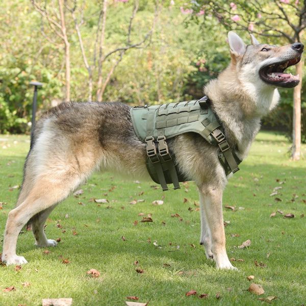 Geschirre Haustier Hund Sicherheit Atmungsaktives Geschirr Zubehör für große Hunde Militärische taktische Weste Schäferhund Dobermann Labrador Trainingsprodukt