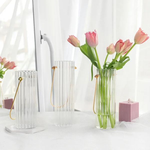 Vasi Dimensioni multiple Nordico moderno in metallo Vaso in vetro trasparente a strisce portatile Texture Composizione floreale Decorazione domestica idroponica