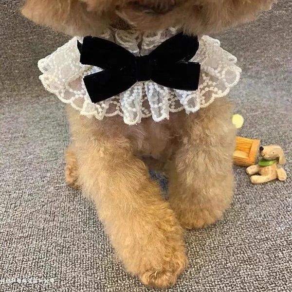 Hundebekleidung, Schleife, Spitzenkragen, Kleidung, elegant, Retro, Spucktuch, kleine Hunde, Kleidung, Katze, Kawaii, europäische Mode, Party, Bichon, niedliche Haustierartikel