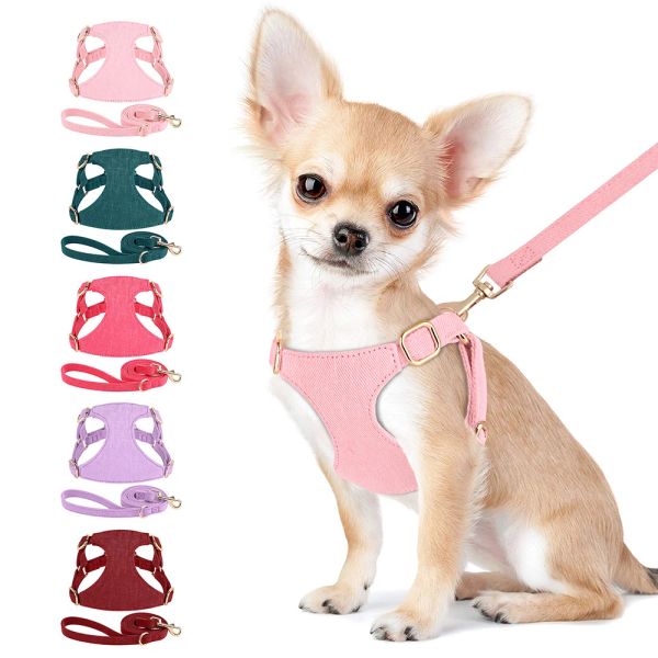 Set Simpatico guinzaglio per cani in cotone Set Guinzaglio per cani di piccola taglia Cucciolo di gatto con gilet per animali domestici a strisce di piombo da 150 cm per Chihuahua Yorkie