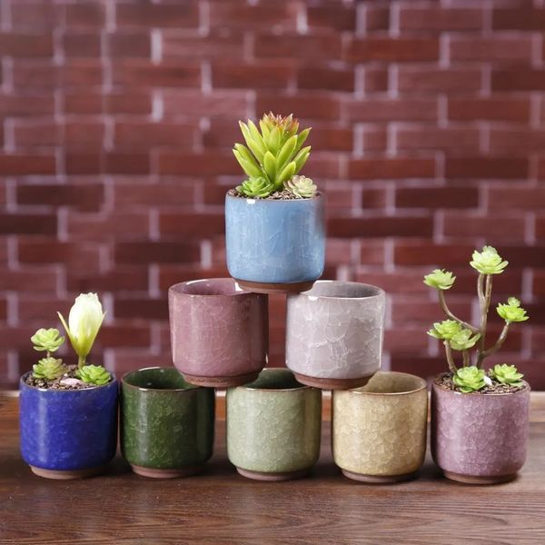 Newice Cracked Mini Seramik Sak saksı Renkli Sevimli Flowerpot Masaüstü Dekorasyon Etli Saksılı Bitkiler Ekiciler