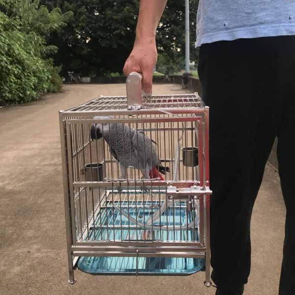 Nestos Canários Big Size Bird Cage alimentador moderno de aço inoxidável da gaiola de pássaros da gaiola Aviaria Gaiola para Passaros Pets Outdoor Pet House
