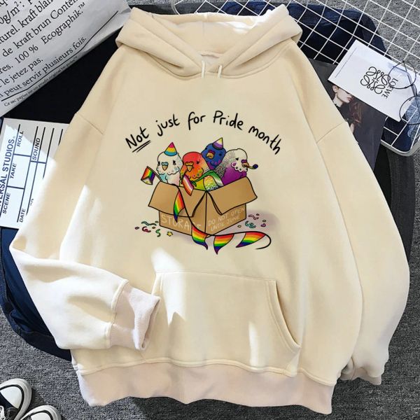 Moletons orgulho lgbt lgbtq hoodies feminino estilo coreano anime gótico japonês puxa agasalho feminino capuz vintage