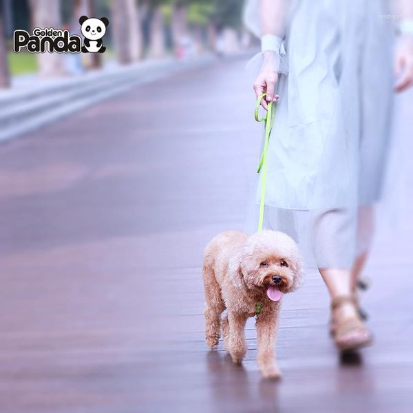 Collari per cani Pettorina regolabile Cintura da trazione Corda da trazione Cucciolo Guinzaglio Giocattoli Catena Giocattolo interattivo