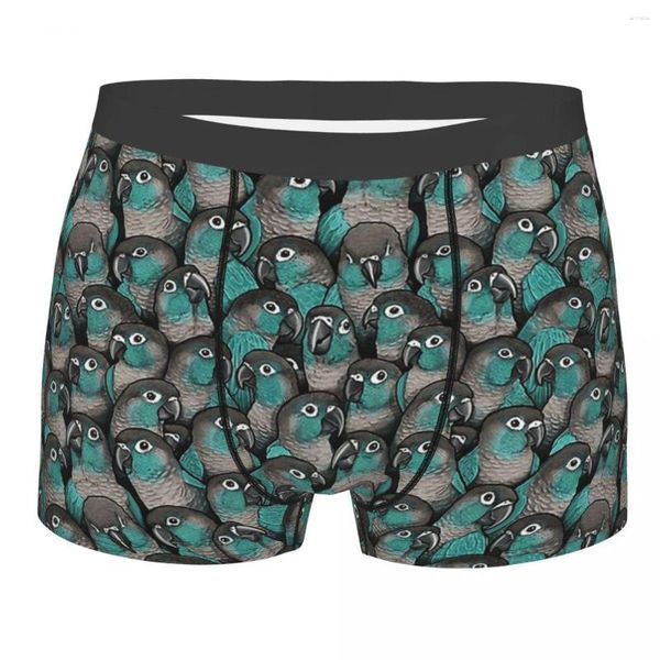 Cuecas turquesa verde bochecha conures papagaio pássaro homme calcinha masculina roupa interior ventilar shorts boxer briefs