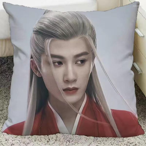 Kissen Tan Jianci Poster doppelseitig bedruckter Kissenbezug TV Lost You Forever Xiang Liu Fang Fengbei Pos Home Car Decor Cover