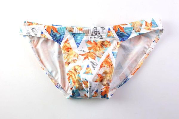 Cuecas 2023 Marca Homens Underwear Impressão Nylon Sexy Confortável Respirável Alta Qualidade Masculino Gay Homme Thongs Briefs