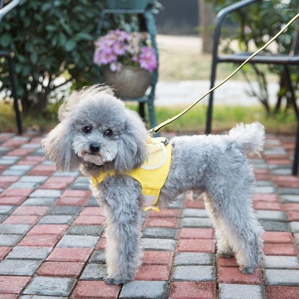 Coleiras de cachorro 1 pc dos desenhos animados abelha arnês trela conjunto anti-perdido cinta peito confortável roupas de cachorro com lanche saco acessórios