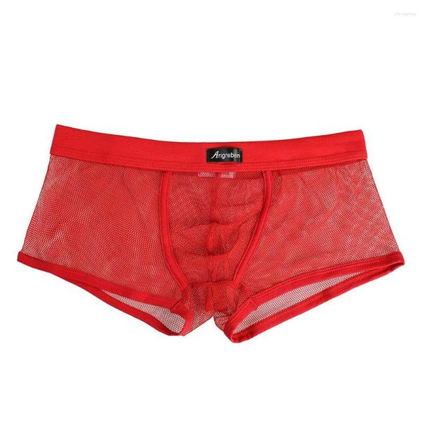 Mutande Uomini sexy Boxer Intimo Maglia trasparente Mutandine maschili gay Vita bassa Custodia per pene Boxer Sissy Lingerie di pizzo rosso L5