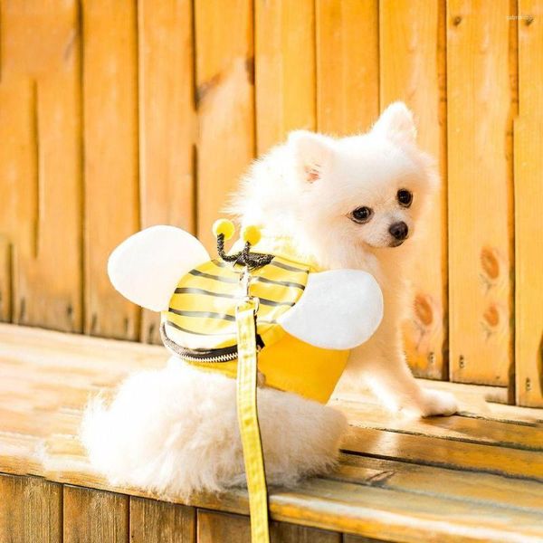 Coleiras de cachorro abelha para caminhar respirável com lanche saco pano malha arnês e trela filhote de cachorro roupas gatinho colete cinta peito