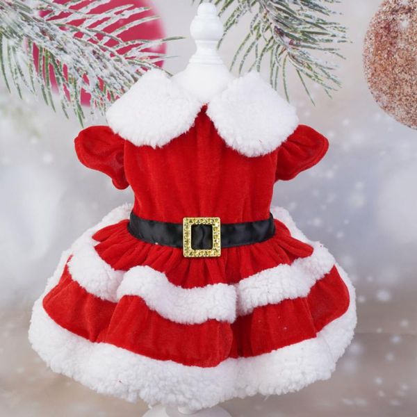 Abbigliamento per cani Abito per cani Abbigliamento per gatti Abbigliamento per animali domestici Natale Piccolo cosplay Babbo Natale Inverno caldo addensato Rosso Yorkshire Accessori