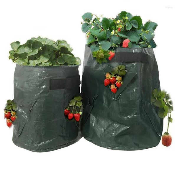Plantadores 5/7/10 galões morango tomate flor crescente saco multi-boca recipiente sacos crescer plantador pote ferramentas de jardim