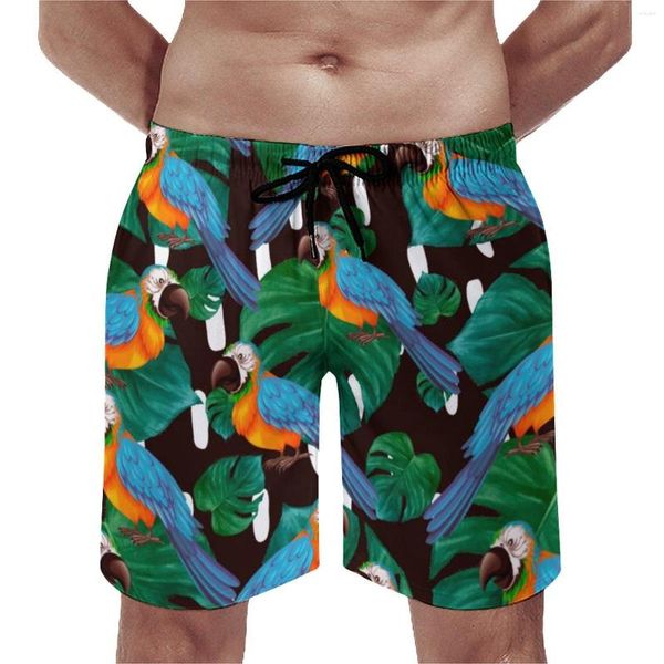 Herren-Shorts, tropische Vögel, Brett, Alltag, Herren, Strandhose, Palmenblätter-Aufdruck, Übergröße, klassisch