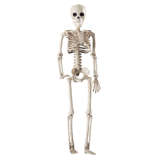 Deko-Objekte, Figuren, 36 cm, lebensechte menschliche Knochen, Halloween-Schädel, Skelett, Dekoration, anatomisches Modell 230901