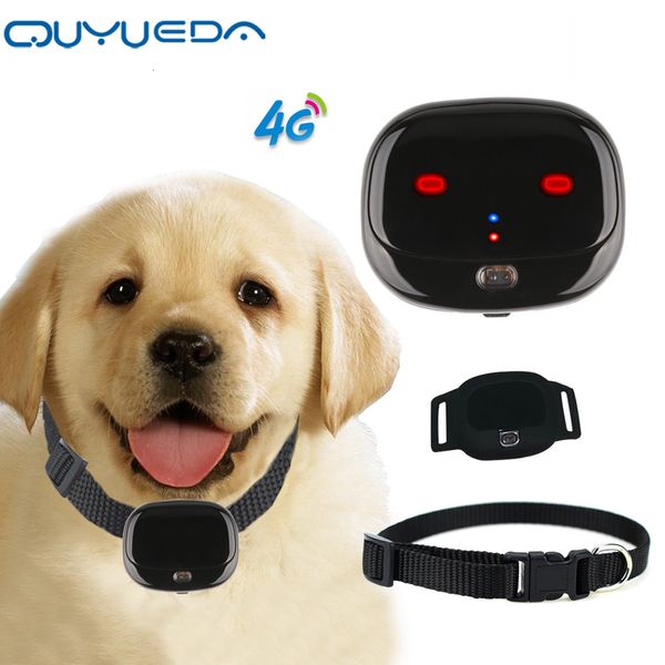 Altre forniture per gatti Mini 4G Pet GPS Tracker Collare GPS per cani impermeabile con luci abbaglianti Localizzatore di animali Supporto Geo-Fence Allarme batteria scarica WIFI 230901