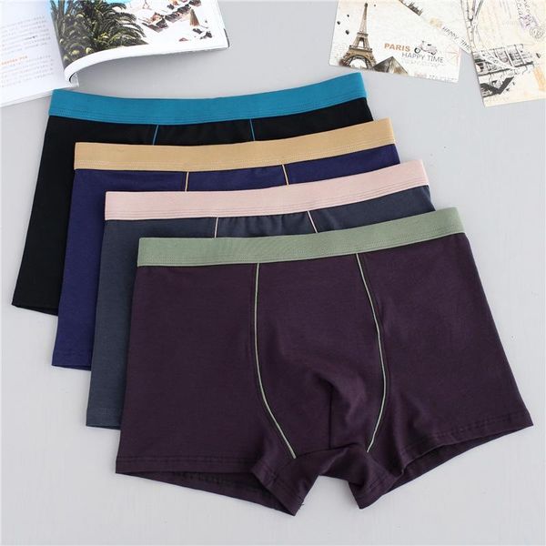 Mutande 2 Pezzi 9XL Plus Size Biancheria Intima da Uomo Boxer Maschile Mutandine Solide Pantaloncini di Cotone Allentato Traspirante Intimo Pantaloni Ad Angolo Piatto