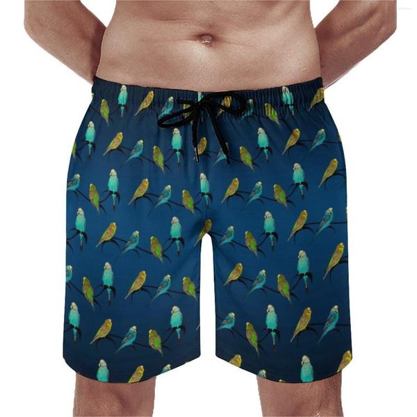 Shorts masculinos verão board pássaros estampa animal de estimação roupas esportivas budgie frenesi personalizado praia calças curtas casuais troncos de secagem rápida plus size