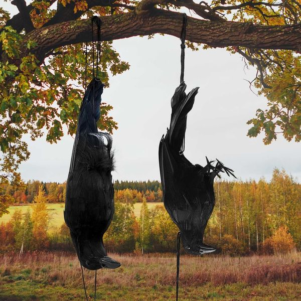 Partymasken 1 Stück große realistische hängende tote Krähen Lockvogel Lebensgroße schwarz gefiederte Krähe für Hausgarten Halloween Spukhaus Dekoration 230905