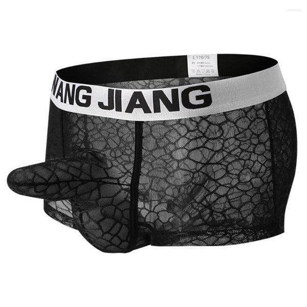 Cuecas masculinas ver através de boxers pênis bainha elefante shorts tronco respirável malha sexy lingerie homem calcinha erótica