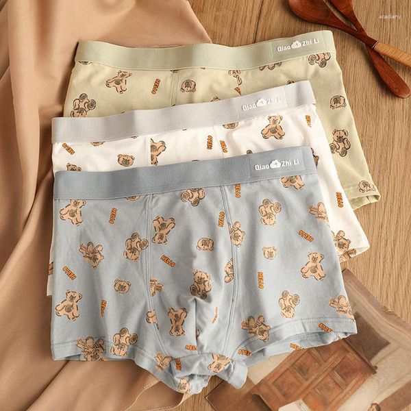 Cuecas de algodão masculino cueca boxer shorts bonito urso dos desenhos animados meados de ascensão juventude 3pcs