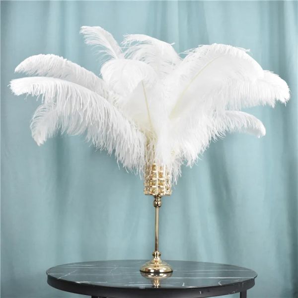 100pcs/lot parti dekor doğal beyaz devekuşu tüyleri 20-25cm renkli tüy dekorasyon düğün tüyleri dekoratif kutlama