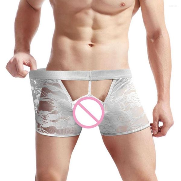 Cuecas masculinas sexy renda pura boxer briefs oco para fora respirável aberto virilha cueca boxers transparentes