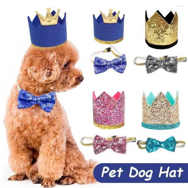 Köpek giyim 2pcs Pet Doğum Günü Taç Şapka Çat Tie Set Cat Sequin Bowtie Kids Perros Acelesorios Cascos Para Moto Chihuahua