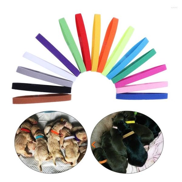 Hundehalsbänder, 15 x Welpen-ID, Welpen, geborene Kätzchen, Band, verstellbares Identifikationshalsband, verschiedene Farben für Haustiere