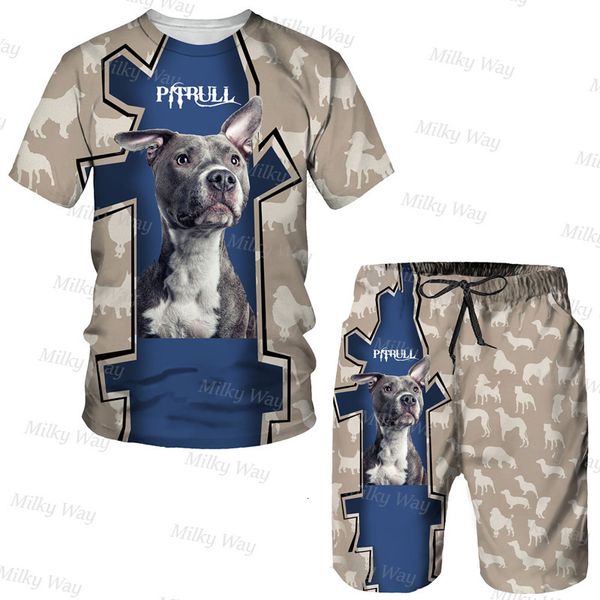 Treno masculino Treno de verão masculino Rottweiler Dog Pattern shorts de camisetas