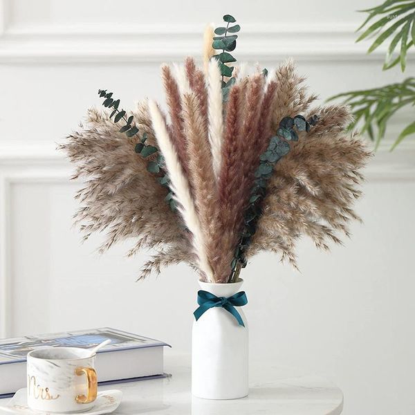 Dekorative Blumen Phragmites Pampasgras natürlich getrocknet mit Blumenstrauß Flauschige Hochzeitsdekoration Accessoires Arrangement Boho