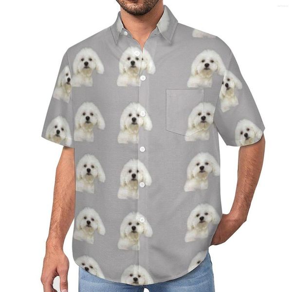 Camisas casuais masculinas cão maltês pet férias camisa verão tendências blusas homem impressão plus size 4xl