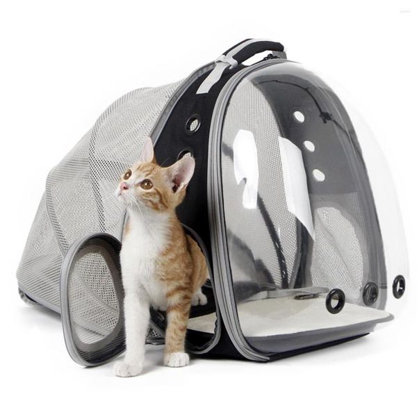 Mochila para transportar gatos, mochila com extensão traseira, espaço transparente, bolha para animais de estimação, para gatinhos, cães pequenos, bolsa para livros