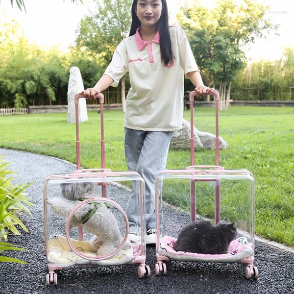 Köpek taşıyıcı lüks kare ekstra büyük evcil hayvan çantası seyahat arabası şeffaf kedi evrensel tekerlek yuvarlama çantası