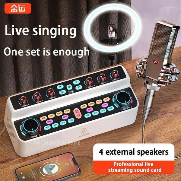 Kombinationslautsprecher 2023 Live-Soundkarte MIC MAX-Qualität Lautes drahtloses Bluetooth All-in-One-Gerät Langstreckenlautsprecher BASS