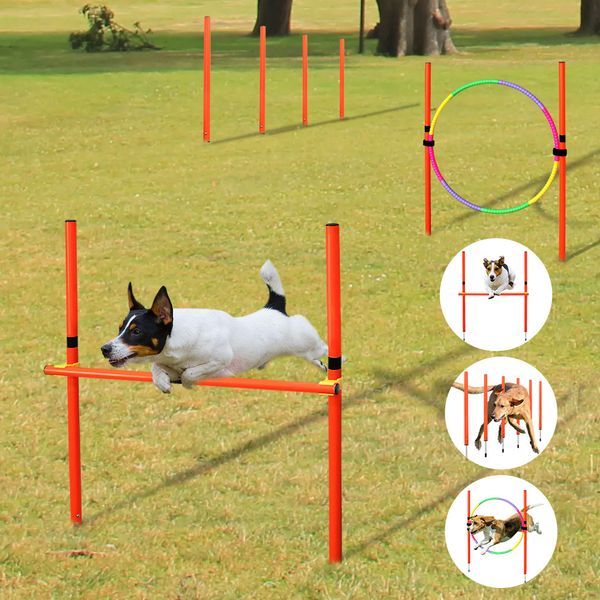 Coleiras para cães trelas equipamento de treinamento de agilidade para cães ao ar livre portátil conjunto de treinamento de obstáculos para cães saltando estacas esportivas pólo suprimentos 230908