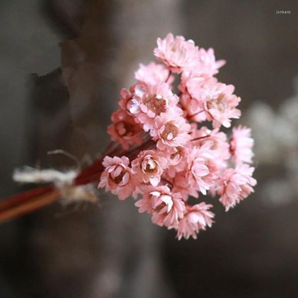 Flores decorativas reais naturais secas pequena estrela seca mini buquê de margaridas para joias de resina decoração de casa cerimônia de casamento ou rarty