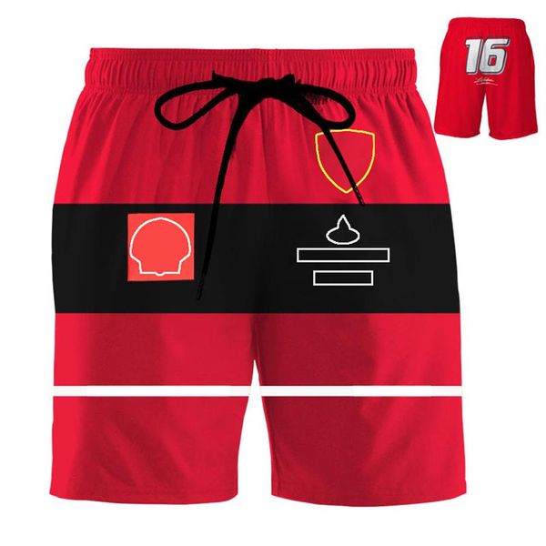 Calças de fã da equipe de f1 de verão, shorts de fórmula um, roupas personalizadas de grandes dimensões 2022242m