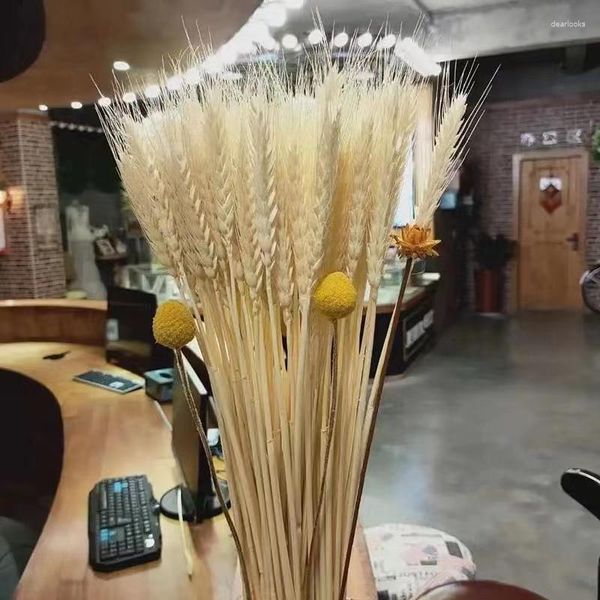 Flores decorativas 50 pçs orelha de trigo real natural seco artificial para decoração boho casa decoração dia das mães natal pampas