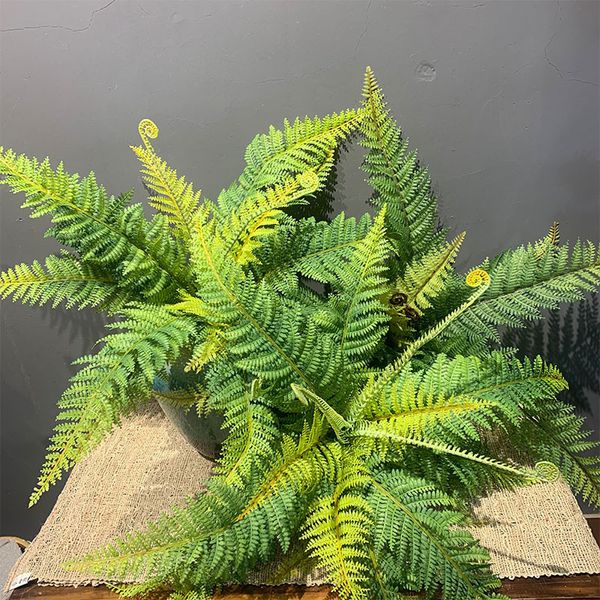 Faux Floral Greenery 56cm Grande Flor Artificial Boston Fern Bunch Plástico Plantas Verdes Folhas Falsas Artesanato Folhagem Falsa Decoração de Casa 230907