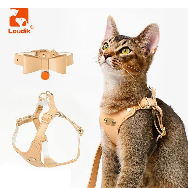 Collari per cani Guinzagli Loudik Pettorina per gatti personalizzata di lusso Collare Guinzaglio Set Targhetta identificativa laser Guinzaglio regolabile in morbida pelle per piccoli animali domestici Accessorio da passeggio 230907