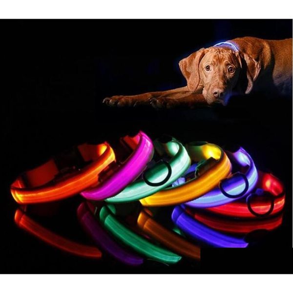 Hundehalsbänder, Leinen, Haustierhalsband, LED-Blitz, Katzen-Taschenlampen, Dibo America Huskies Teddy, groß, S, M, L, XL, emittierend, Drop-Lieferung, Homefavor Otfd9