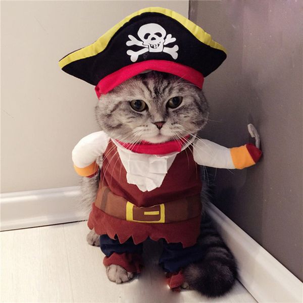 Trajes de gato engraçado trajes de gato pirata terno roupas de gato gatinho gatinho traje de halloween filhote de cachorro ternos vestir roupas de festa para gatos 230908