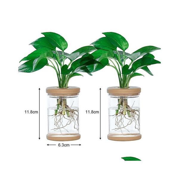 Вазы Прозрачная гидропонная ваза Имитация стекла Беспочвенная посадка в горшке Зеленое растение Смола Цветочный горшок Домашний декор Прямая доставка Gard Otrwb
