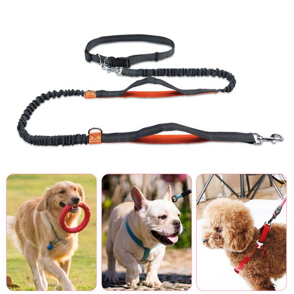 Aggiornamento riflette la luce Flex Guinzagli per cani Cintura da corsa Multifunzione Walk The Dog Guinzagli Catena Forniture per cani da compagnia