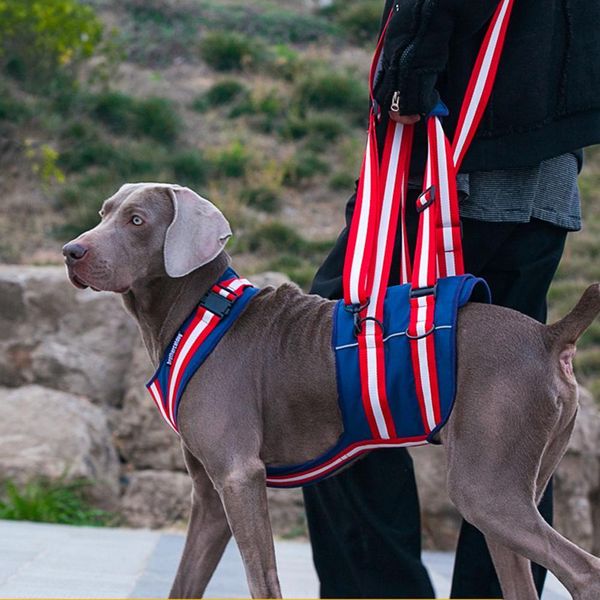 Köpek yakaları tasma youzi köpek asansör kablo demeti ayarlanabilir yumuşak yastıklı evcil hayvan koşum takımı arka arka bacaklar küçük orta büyük köpekler için köpek asansör askı taşıyıcı 230911