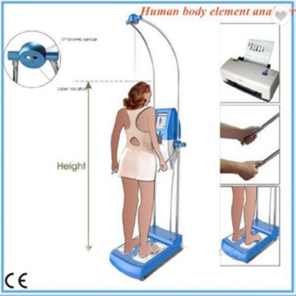 Máquina a laser oem analisador de gordura análise de composição corporal alegre eletrônico pro composição corporal para venda
