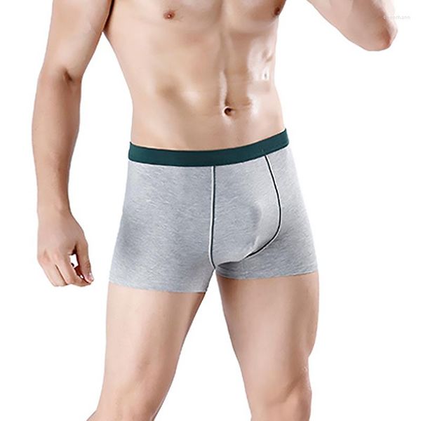 Pantaloncini da uomo Intimo maschile 3D traspirante Taglie forti XL-9XL Boxer da uomo Boxer in cotone Mutande solide Uomo
